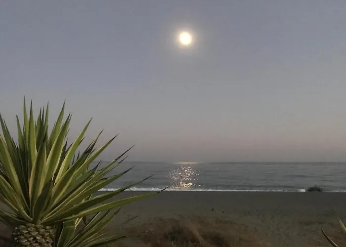 Oasis Costalita I Apartman